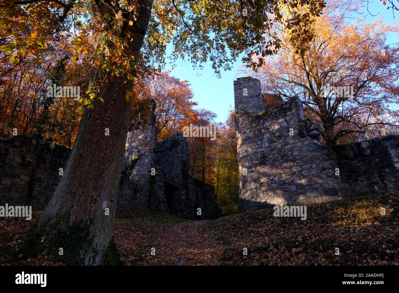 Deutschland, Hessen, Odenwald, Burgruine Rodenstein Stockfoto