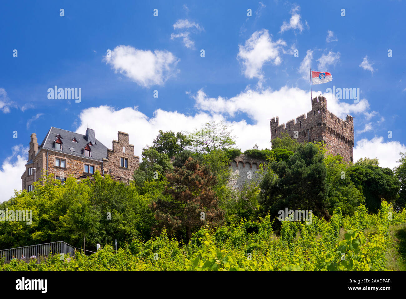 Deutschland, Bingen am Rhein, Burg Klopp Stockfoto