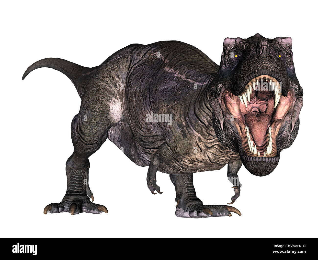 T-Rex brüllend auf die Füße - 3D-Rendering Stockfoto