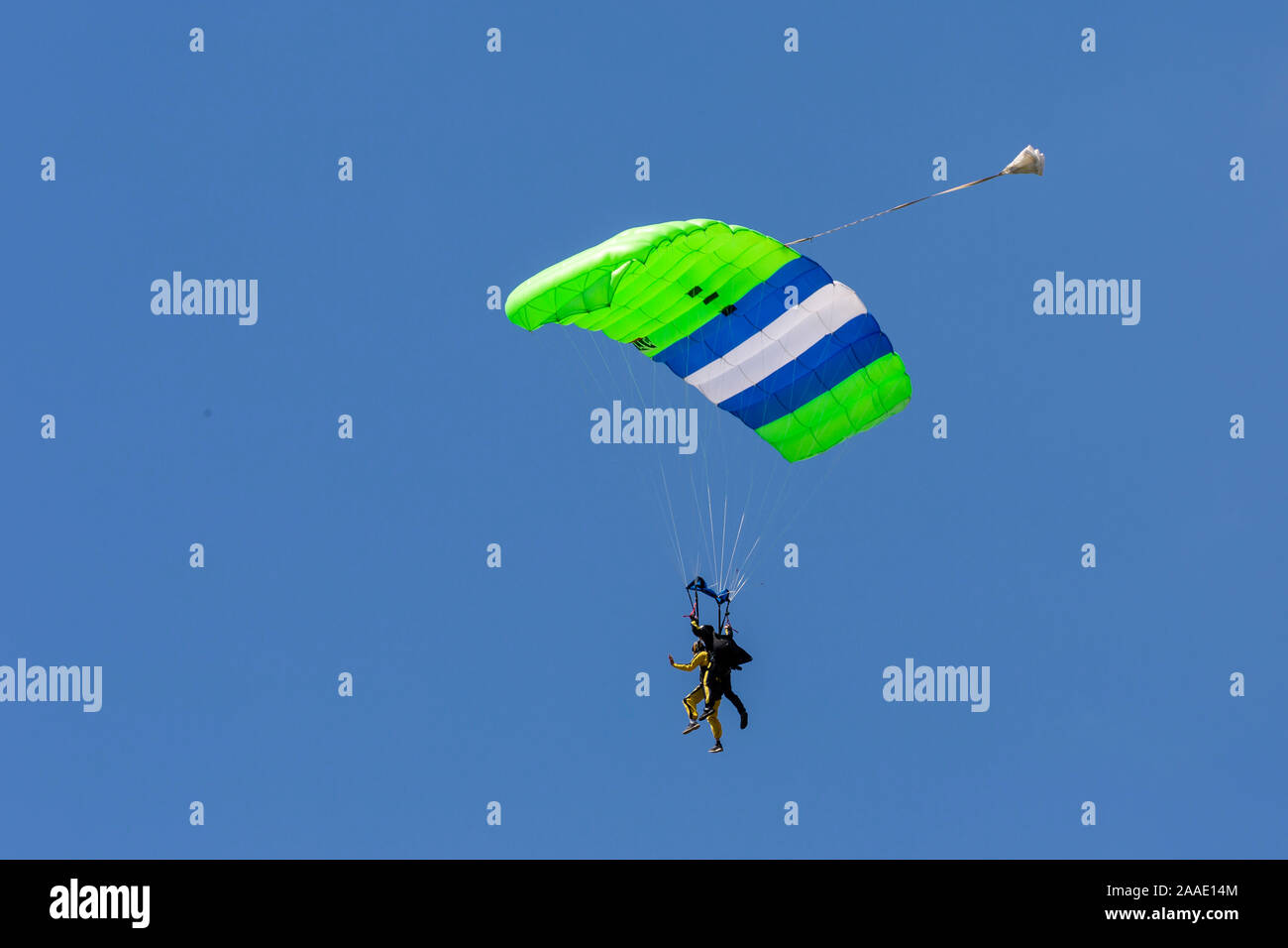 Fallschirmspringer bei Dunkeswell Flugplatz, Devon, England, Großbritannien Stockfoto