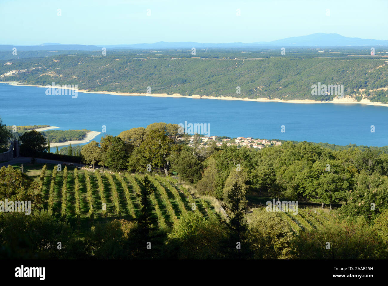 Weinberge, die bis an die Ufer des Sees führen Sainte-Croix Aiguines im Verdon Regional Park Var Provence Frankreich Stockfoto