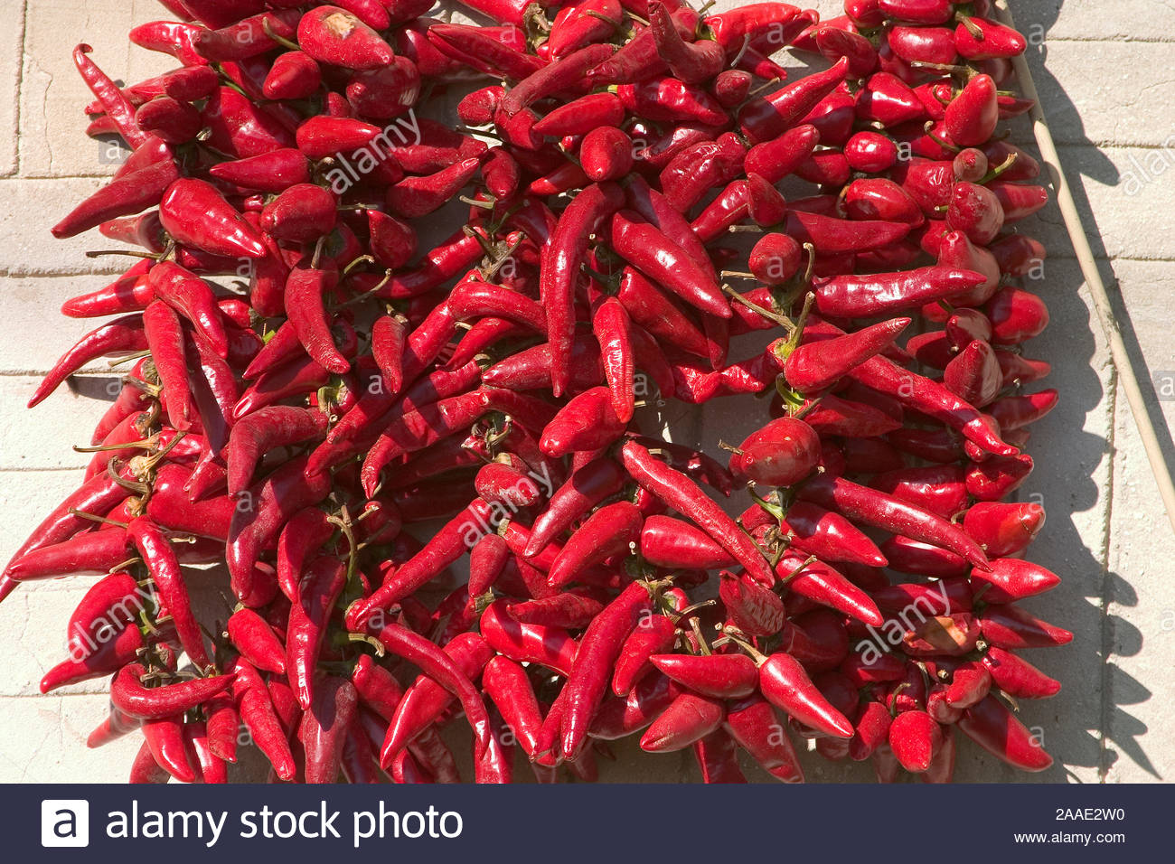 Europa Ungarn Kalocsa Paprika Stockfotografie Alamy