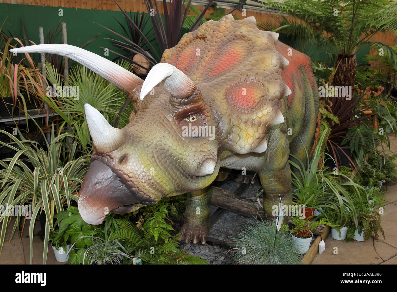 Triceratops Dinosaurier Modell Stockfoto