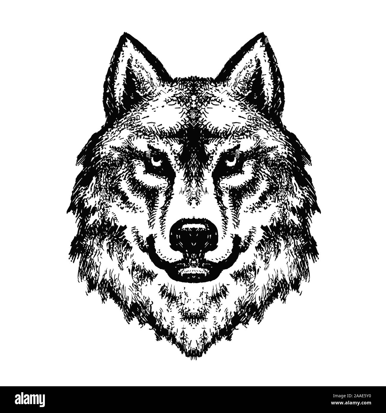 Dominanter wolf Schwarzweiß-Stockfotos und -bilder - Alamy