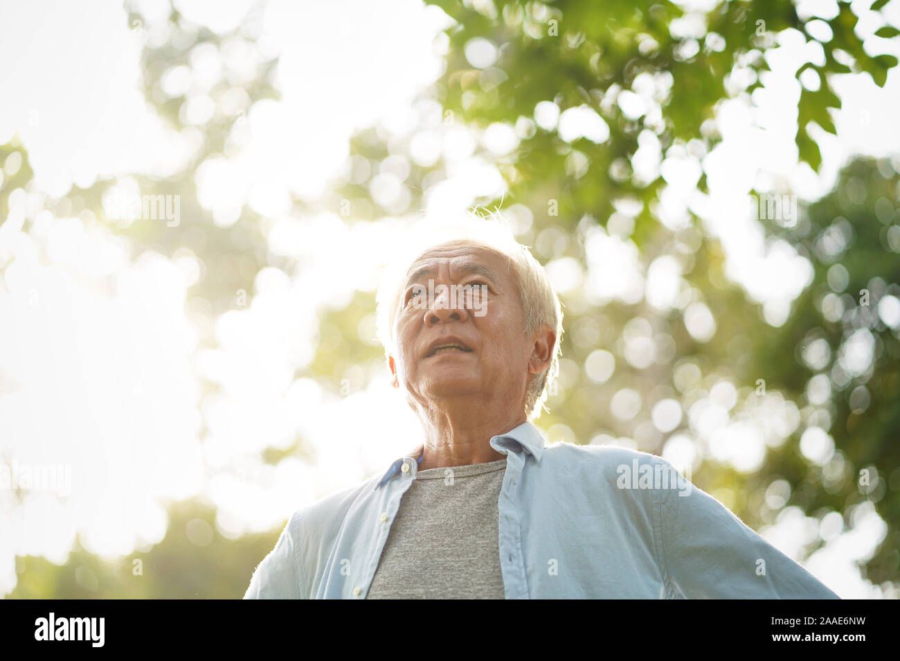 Senior asiatischer Mann mit weißem Haar wandern draußen im Park Stockfoto