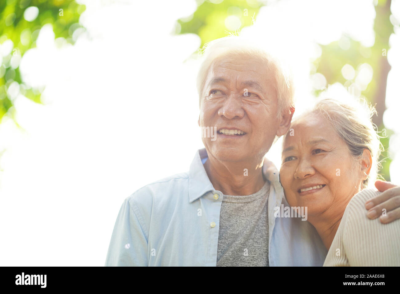 Portrait von liebevollen älteren asiatischen Paar gute Zeit draußen im Park Stockfoto