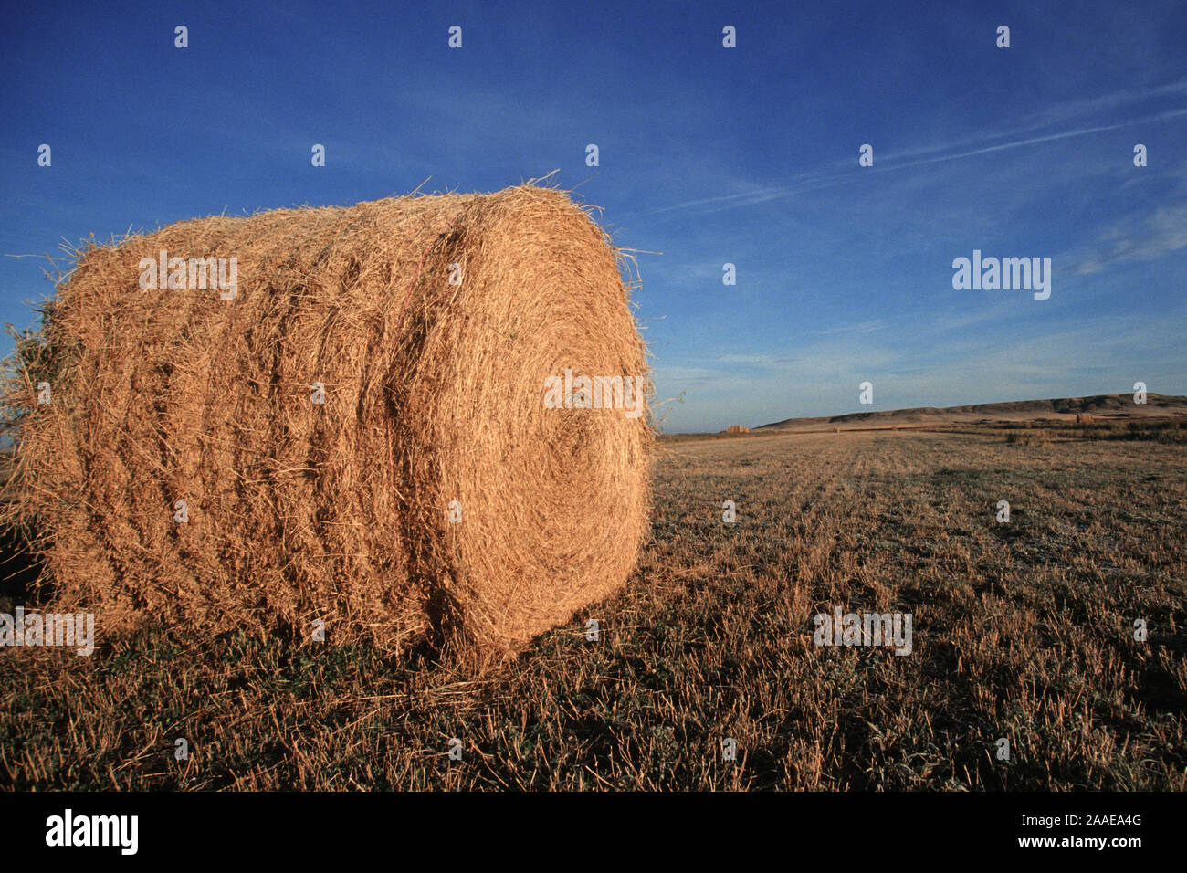 Prärie - Saskatchewan, Kanada Stockfoto