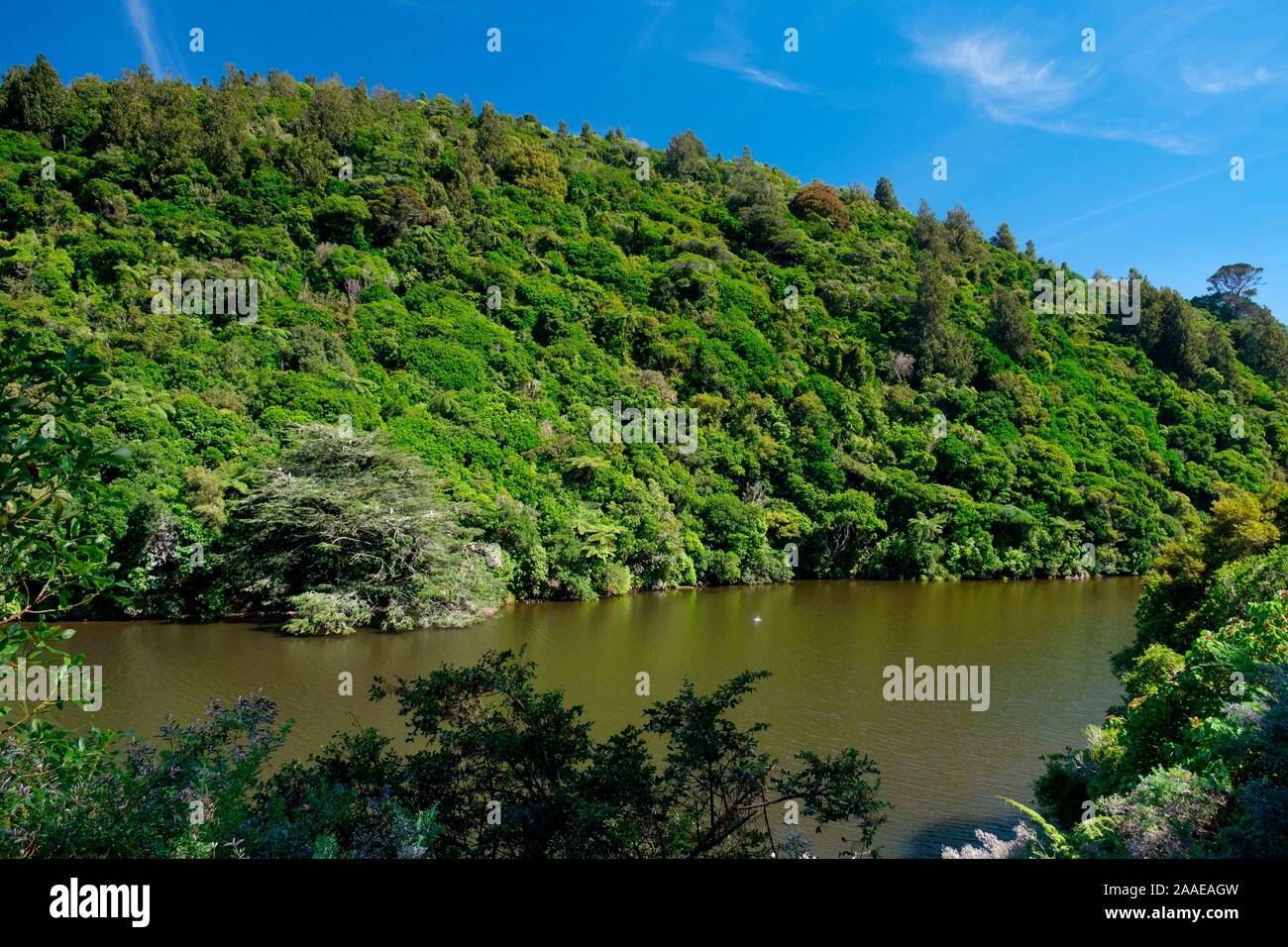Untere Karori Reservoir in Zealandia, ein naturschutzprojekt und Attraktion ist der weltweit erste komplett eingezäunt urban Eco Heiligtum von 225 HA, Wellington, Neuseeland Stockfoto