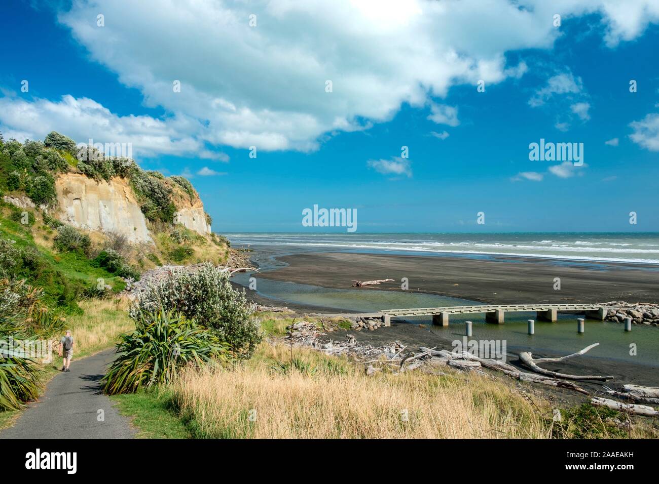Kai Iwi Strand, Manawatu-Wanganui, in der Nähe der Whanganui, North Island, Neuseeland Stockfoto