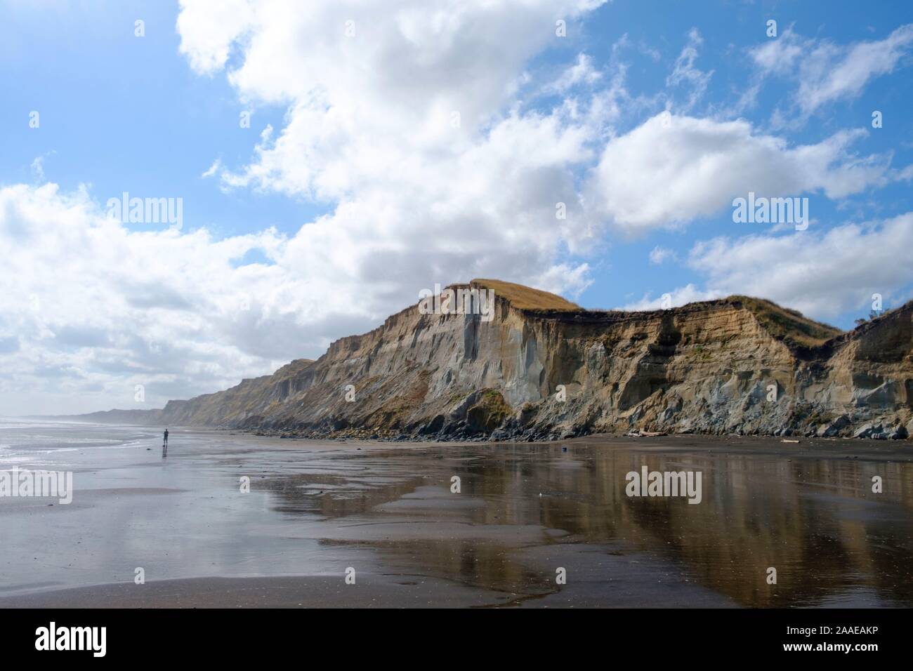Kai Iwi Strand, Manawatu-Wanganui, in der Nähe der Whanganui, North Island, Neuseeland Stockfoto