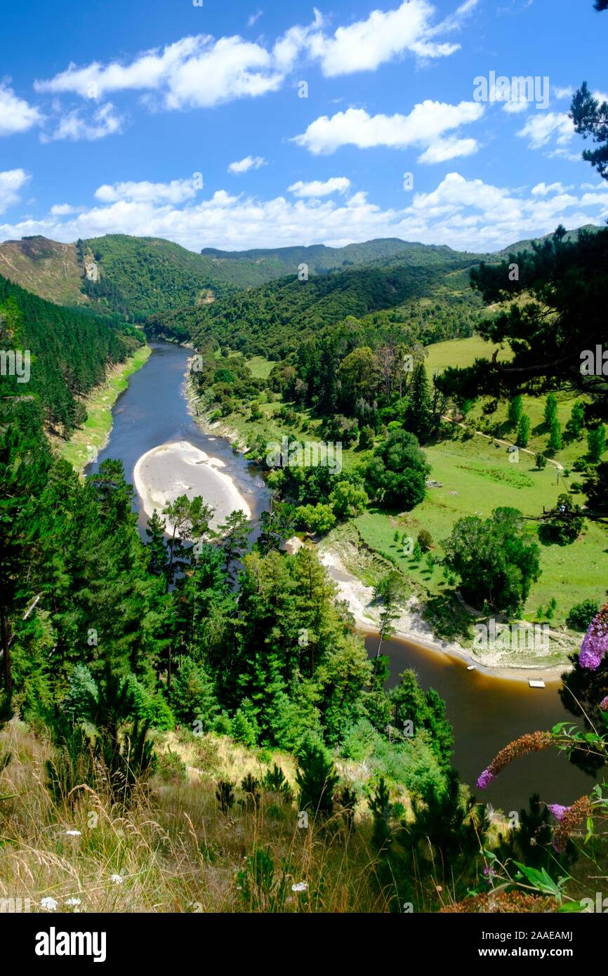 Der Whanganui River in der Nähe der Eingang zum Whanganui National Park, in der Nähe von Whanganui, North Island, Neuseeland Stockfoto