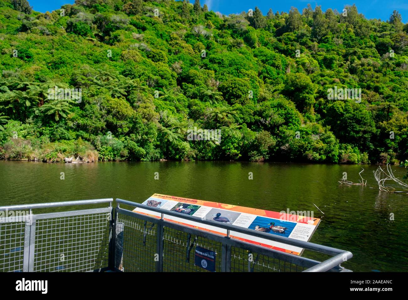 Untere Karori Reservoir in Zealandia, ein naturschutzprojekt und Attraktion ist der weltweit erste komplett eingezäunt urban Eco Heiligtum von 225 HA, Wellington, Neuseeland Stockfoto