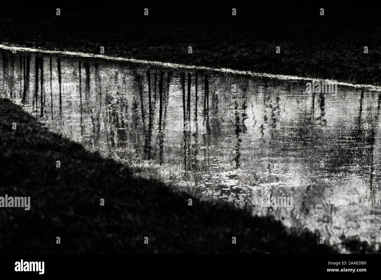 Überflutete Wiese, Stockfoto