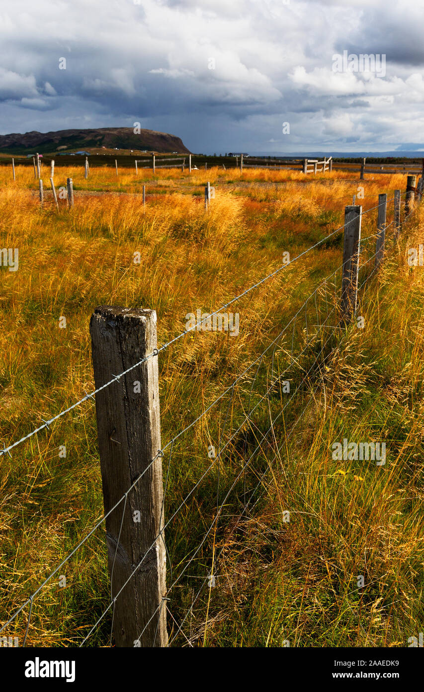 Dramatischen Wolken über Berge und golden Gras in eingezäunten Weide in Island Stockfoto