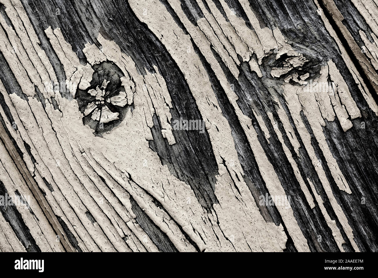 Alte Holzbohlen, sieht aus wie ein Gesicht Stockfoto