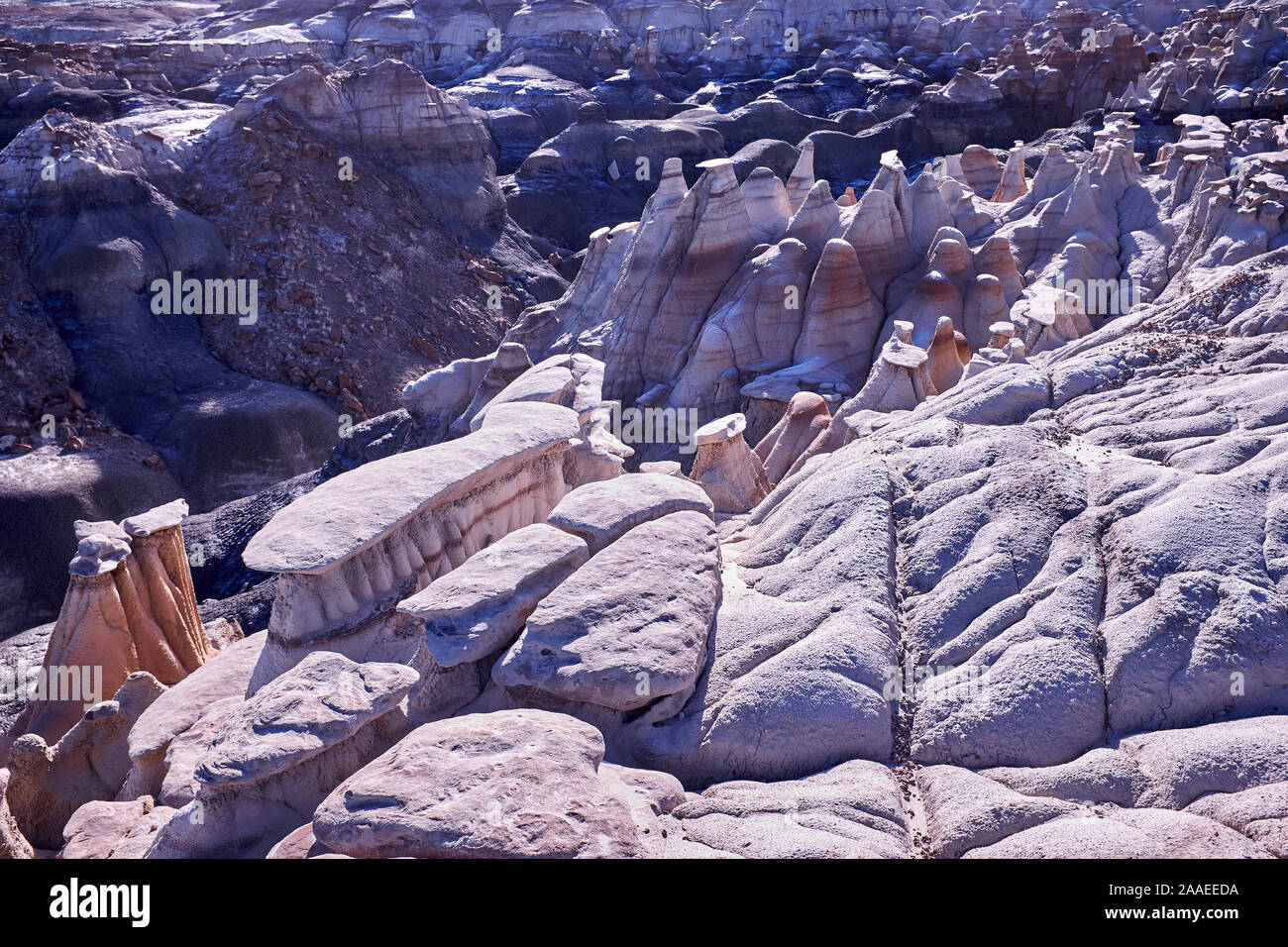 Bisti Badlands De-Na-Zin Felsformationen in New Mexico, USA Stockfoto