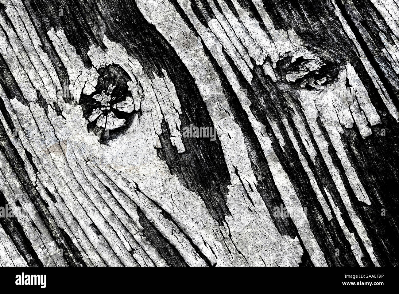 Alte Holzbohlen, sieht aus wie ein Gesicht Stockfoto