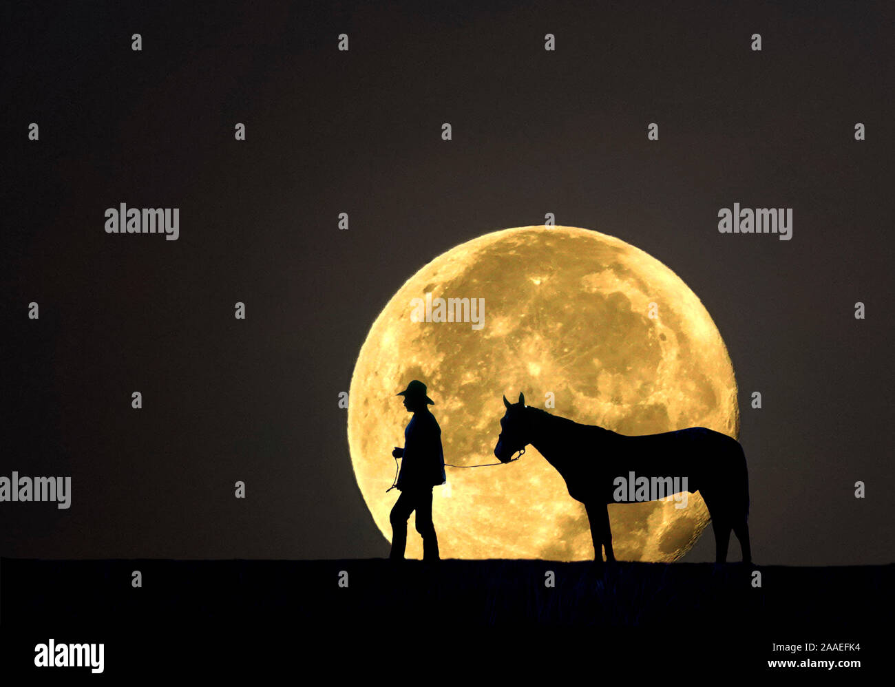 Ein Cowboy führt sein Pferd zu einer Wasserstelle bei Vollmond nach einem Tag des Einbrennens Rinder auf einer Rinderfarm in den Ebenen der südlichen Colorado Stockfoto