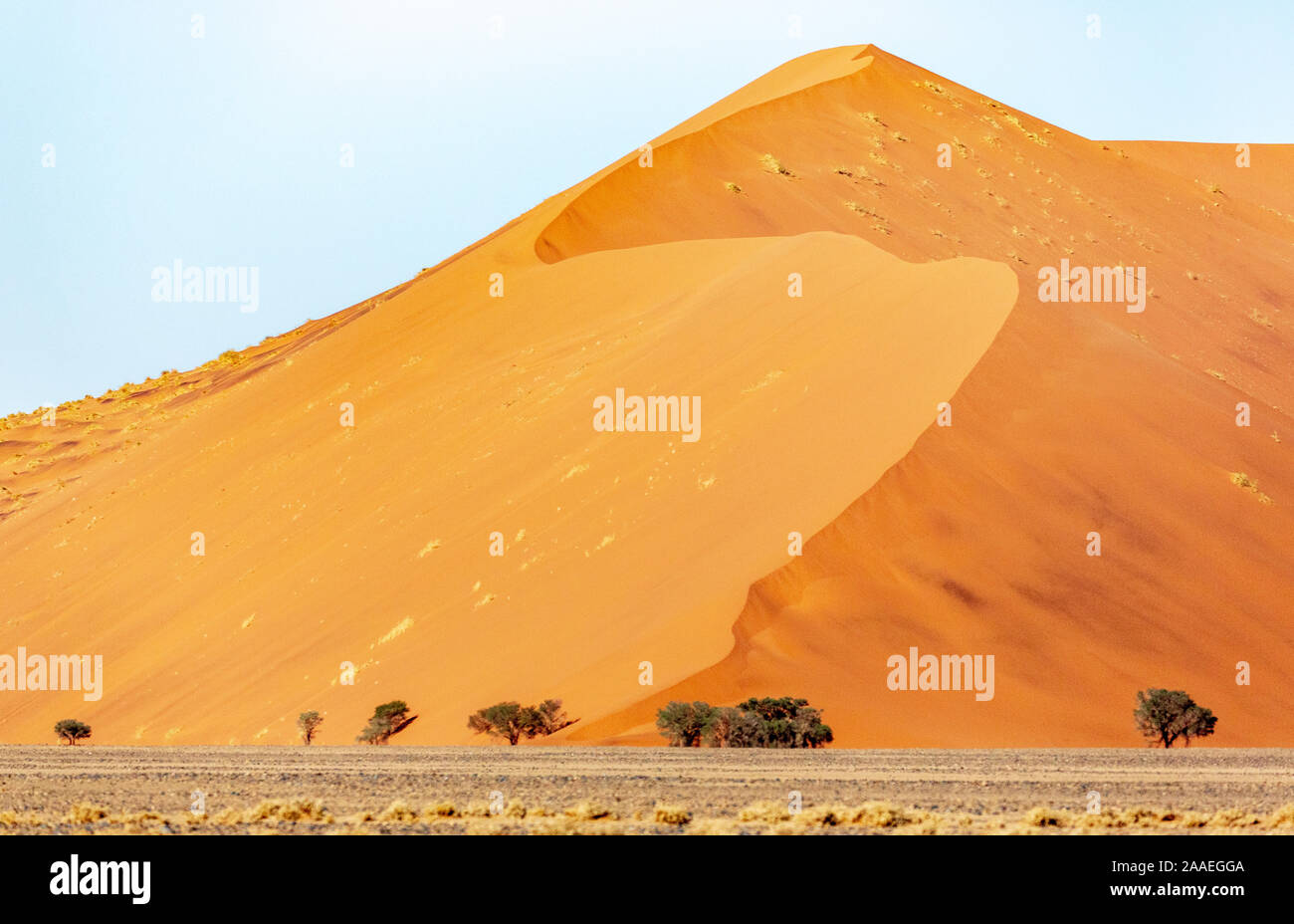 Düne 45 im Sossusvlei, Namibia, Afrika. Landschaft der Wüste Stockfoto