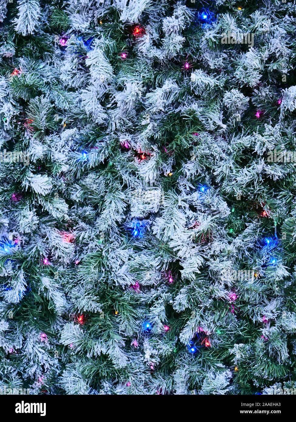 Weihnachtsdekoration mit grünen Kiefernblättern, weißem Schnee und blauen, rosa und violetten Lichtern, die Ende November 2019 in London, Großbritannien, zu sehen waren. Stockfoto