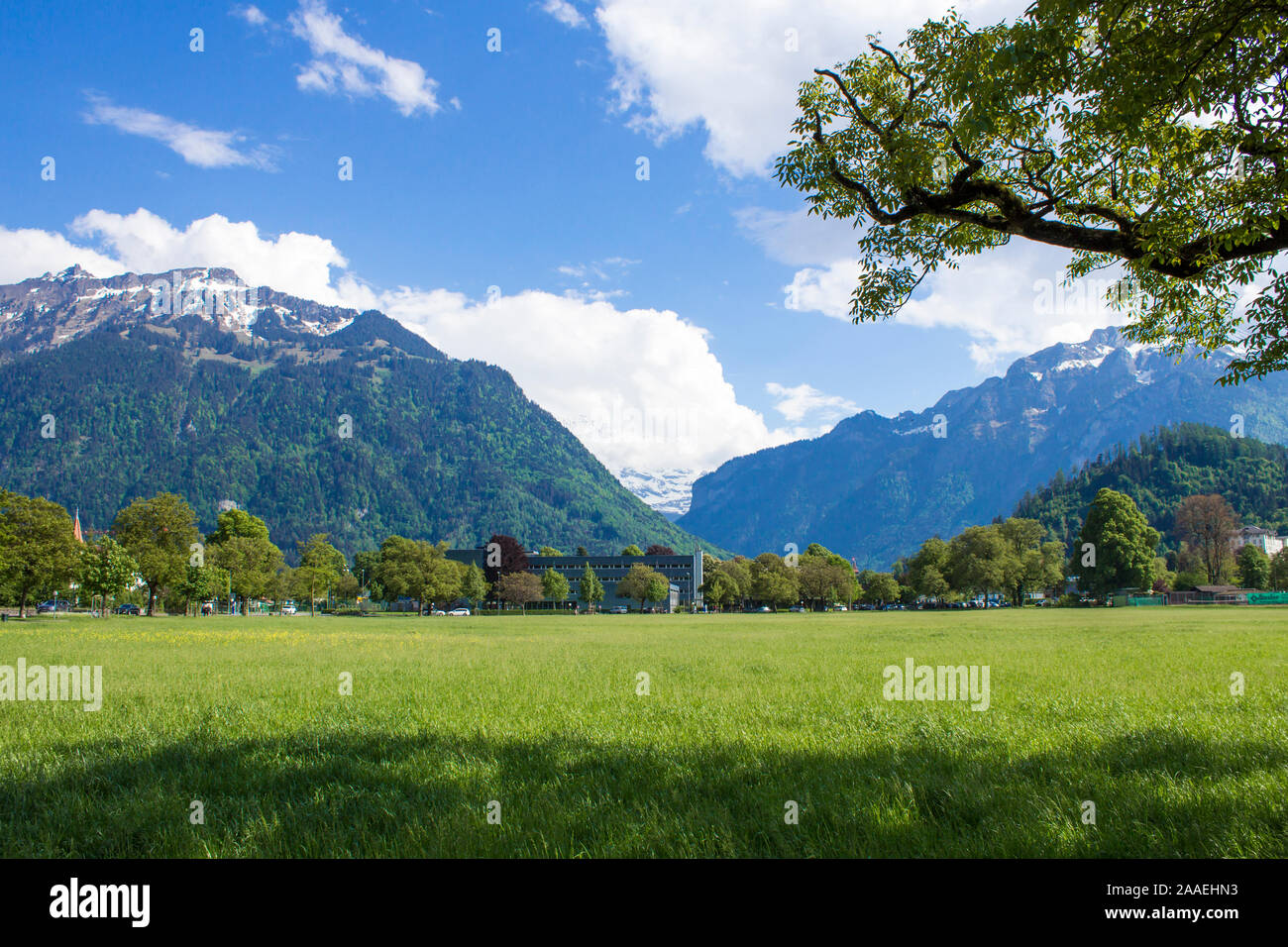 Park Hohematte. Blick auf die Alpen. Interlaken Stockfoto