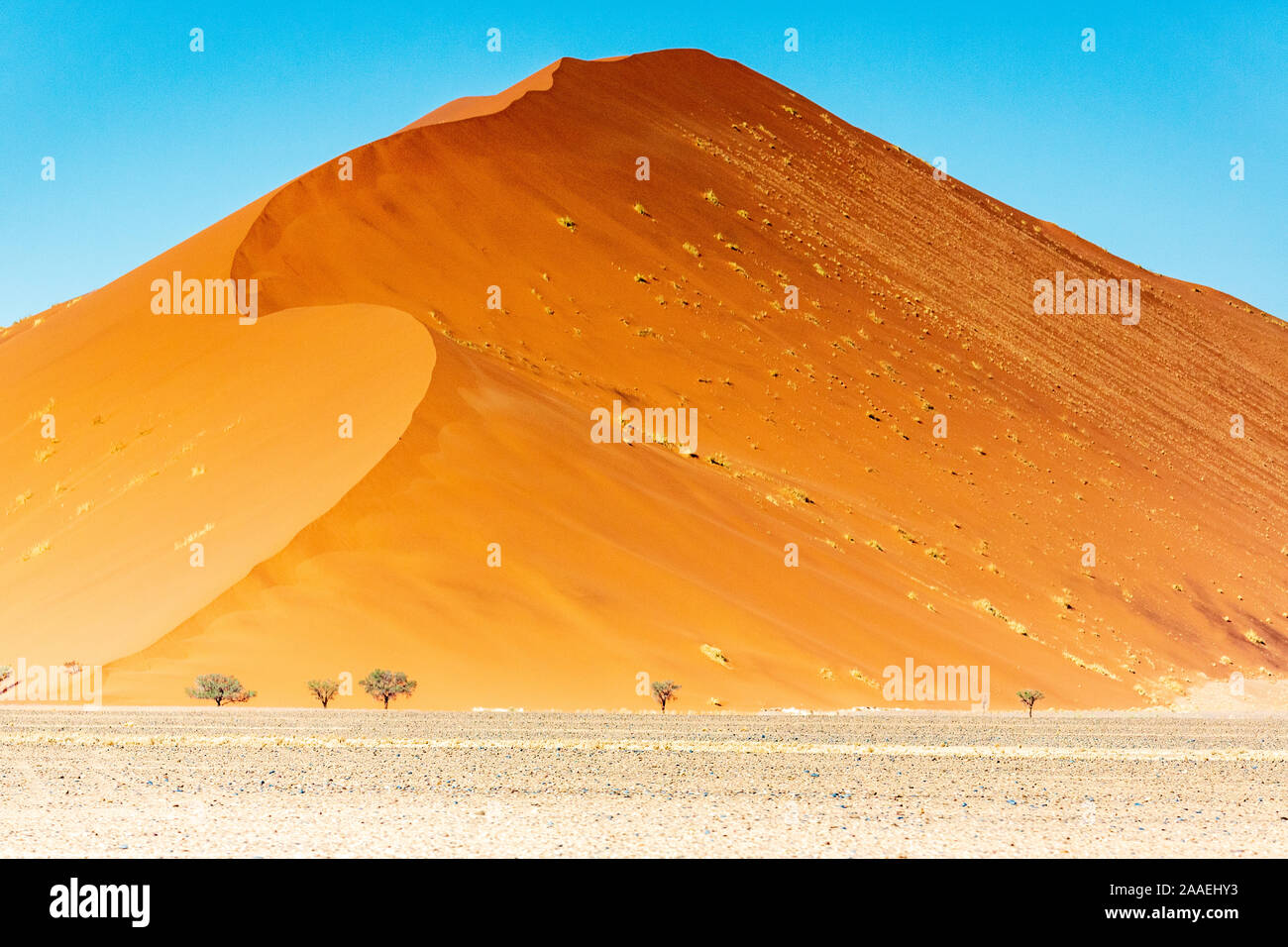 Düne 45 im Sossusvlei, Namibia, Afrika. Landschaft der Wüste Stockfoto