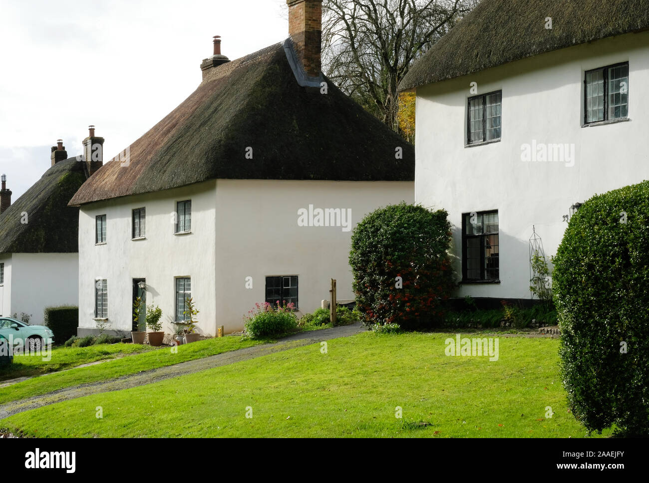 Reetgedeckte Cottages in Milton Abbas, Dorset, Großbritannien - Johannes Gollop Stockfoto