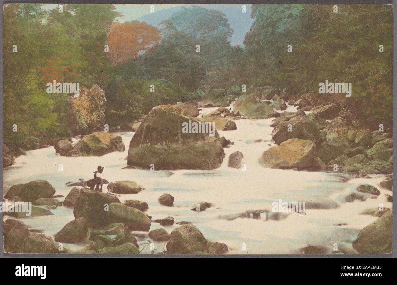 Illustrierte Postkarte von Stromschnellen bestreut mit Felsbrocken umgeben von üppiger Vegetation, durch K. S. C, 1905 veröffentlicht umgeben. Von der New York Public Library. () Stockfoto
