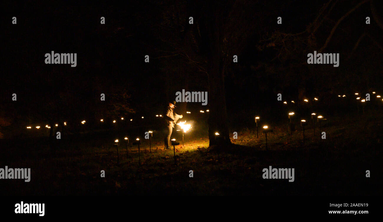 Haywards Heath Großbritannien 21. November 2019 - Personal Licht Fackeln in der Eröffnungsnacht des Wakehurst Glow Wild Laterne Trail in der Nähe von Haywards Heath in Sussex an diesem Abend. In diesem Winter Wakehurst, KewÕs wilden botanischen Garten, lebendig kommt mit seinem berühmten Winter leuchten Wilde Laterne Trail. Die Landschaft ist durch Hunderte von leuchtenden Laternen, Fackeln, Klangwelten und Projektionen C sowie der UKÕs höchste lebende Weihnachtsbaum, mit 1900 Lichtern geschmückt verwandelt. : Credit Simon Dack/Alamy leben Nachrichten Stockfoto