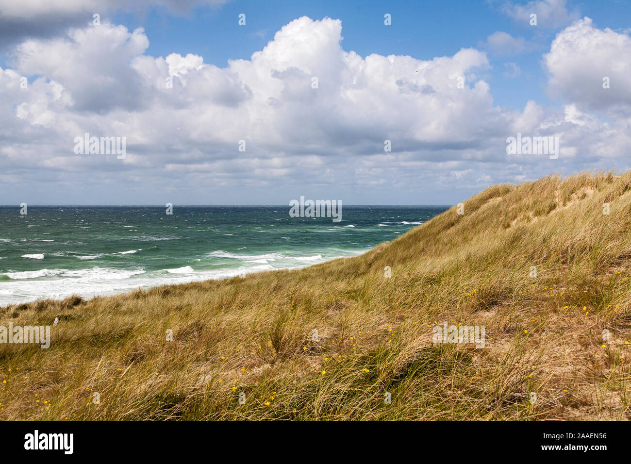 Duenen, Meer, Stuermisch, Wolken, Himmel, Strand, Sylt Stockfoto