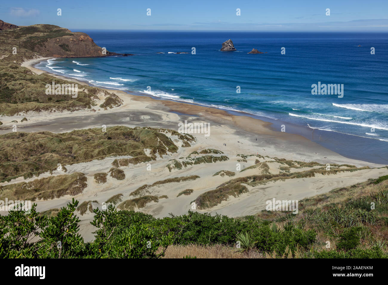 Die spektakuläre Küste am Sandfly Bay auf der Südinsel von Neuseeland Stockfoto