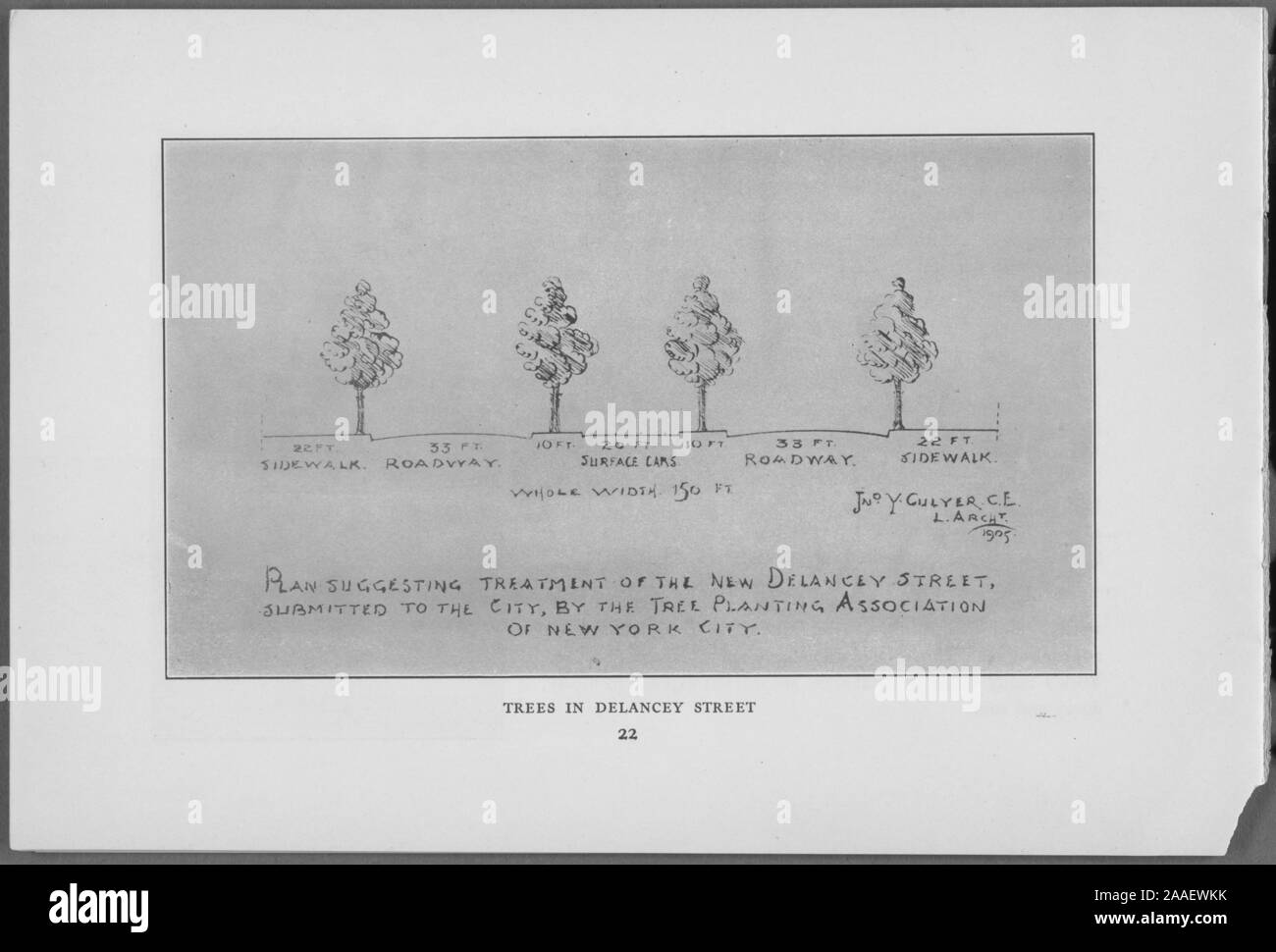 Abbildung: einen Plan für die Anpflanzung von Bäumen in Delancey Street, New York City, durch das Pflanzen von Bäumen Verbindung von New York City, 1905 veröffentlicht. Von der New York Public Library. () Stockfoto