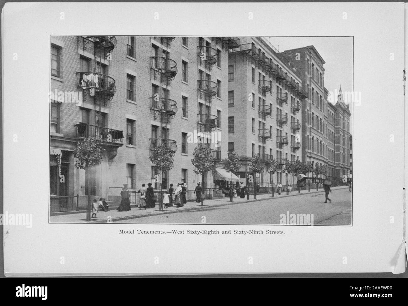 Monochrome Abbildung: Modell Wohnhäuser für West achtundsechzigsten Tagung und Sixty-Ninth Straßen, New York City, durch das Pflanzen von Bäumen Verbindung von New York City, 1903 veröffentlicht. Von der New York Public Library. () Stockfoto