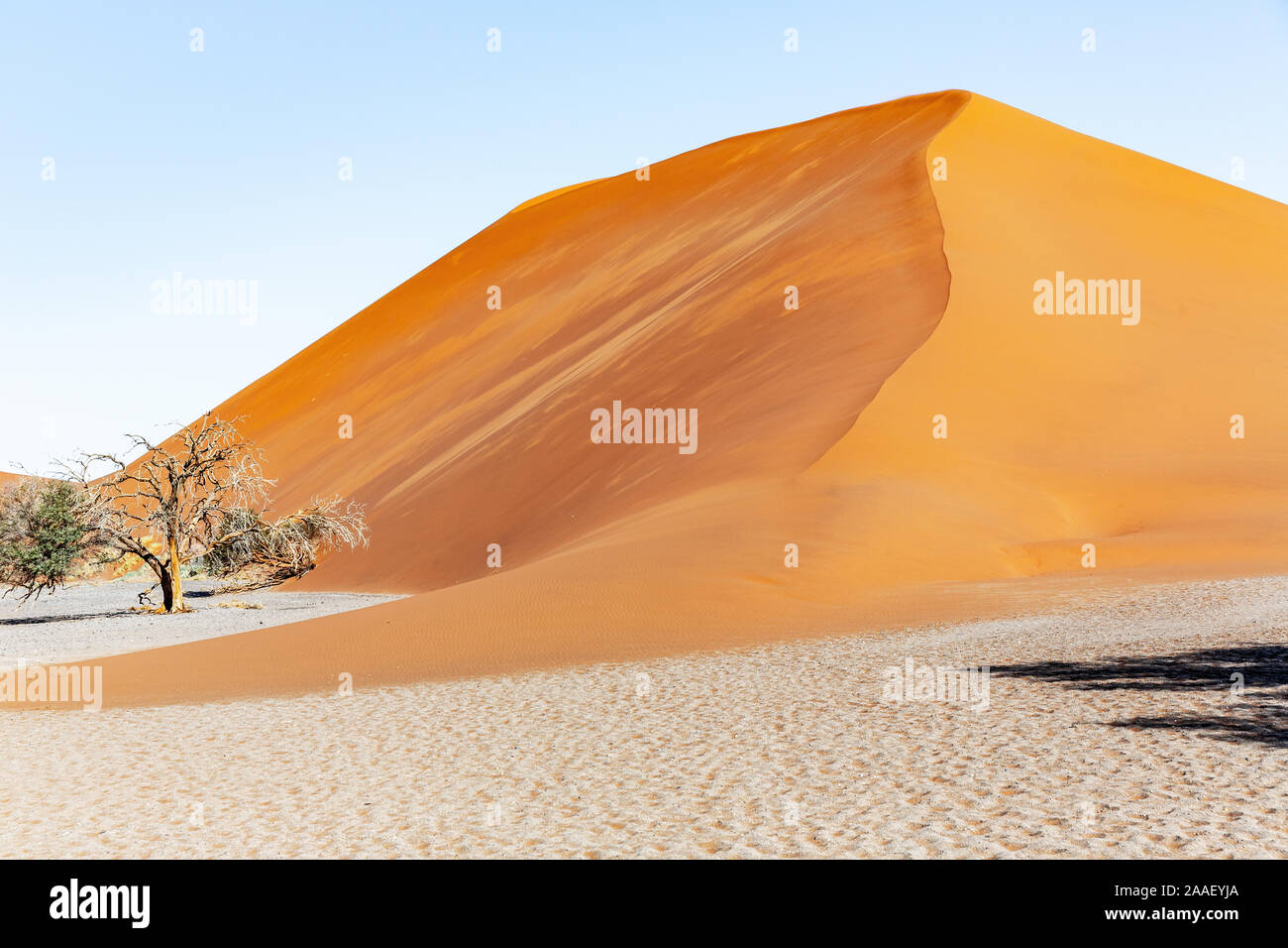 Düne 45 im Sossusvlei, Namibia, Afrika. Landschaft der Wüste Stockfoto