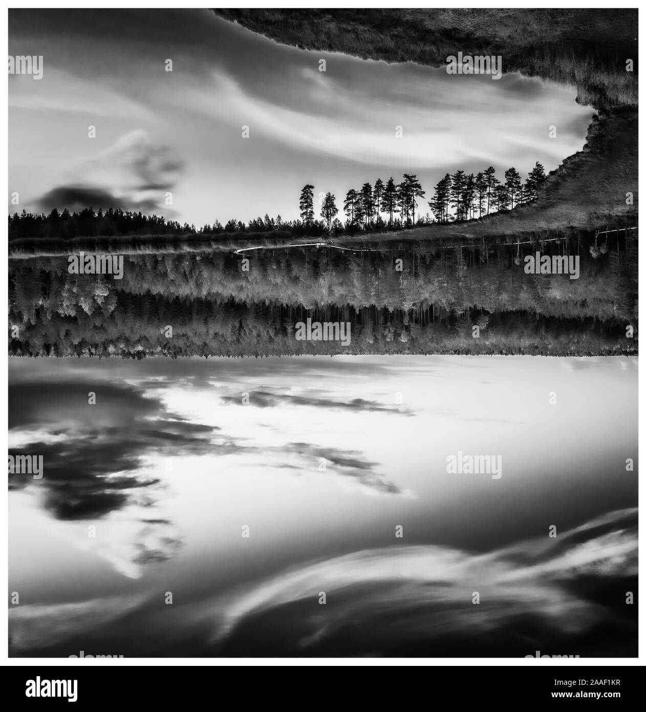 Anzeigen von Kangari See. Schwarz und Weiß. Spiegelbild im Wasser. Lettische Natur. Stockfoto