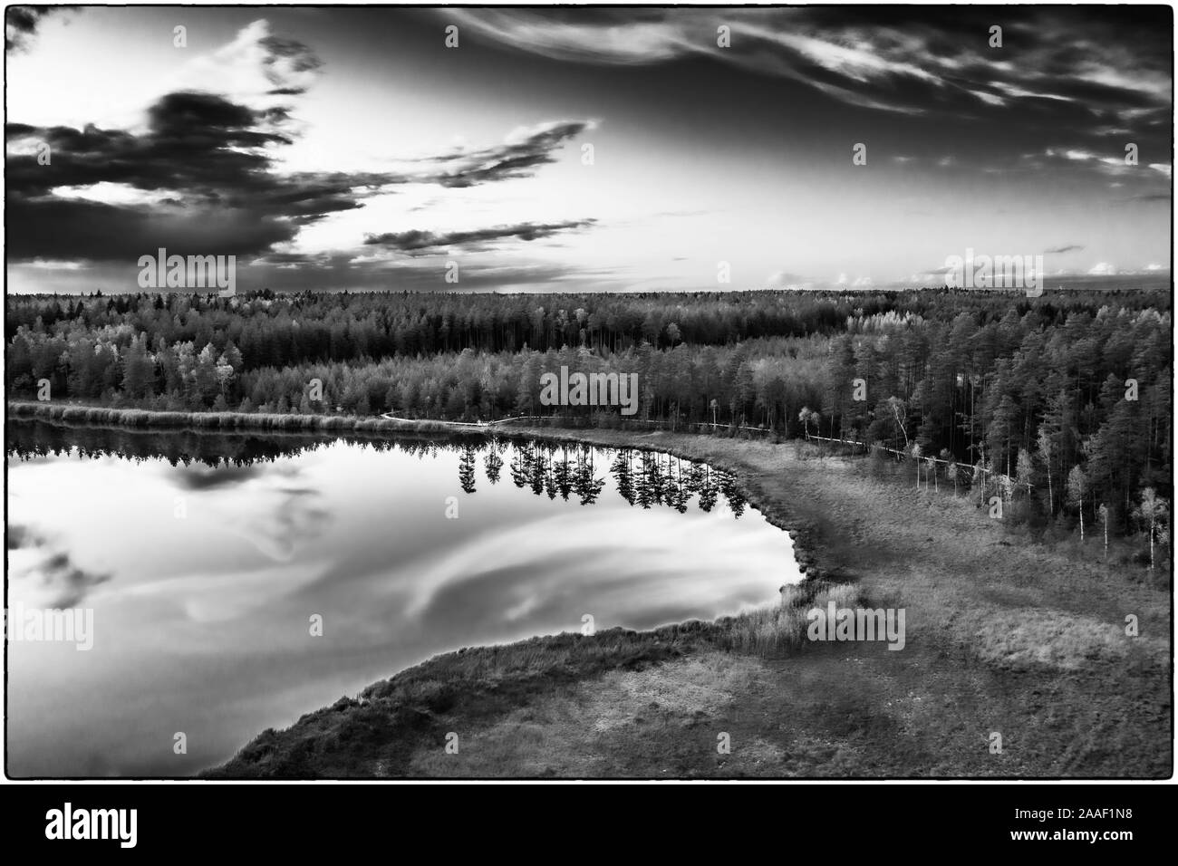 Blick auf Kingari See. Schwarz und Weiß. Lettische Natur. Schöne Landschaft. Stockfoto