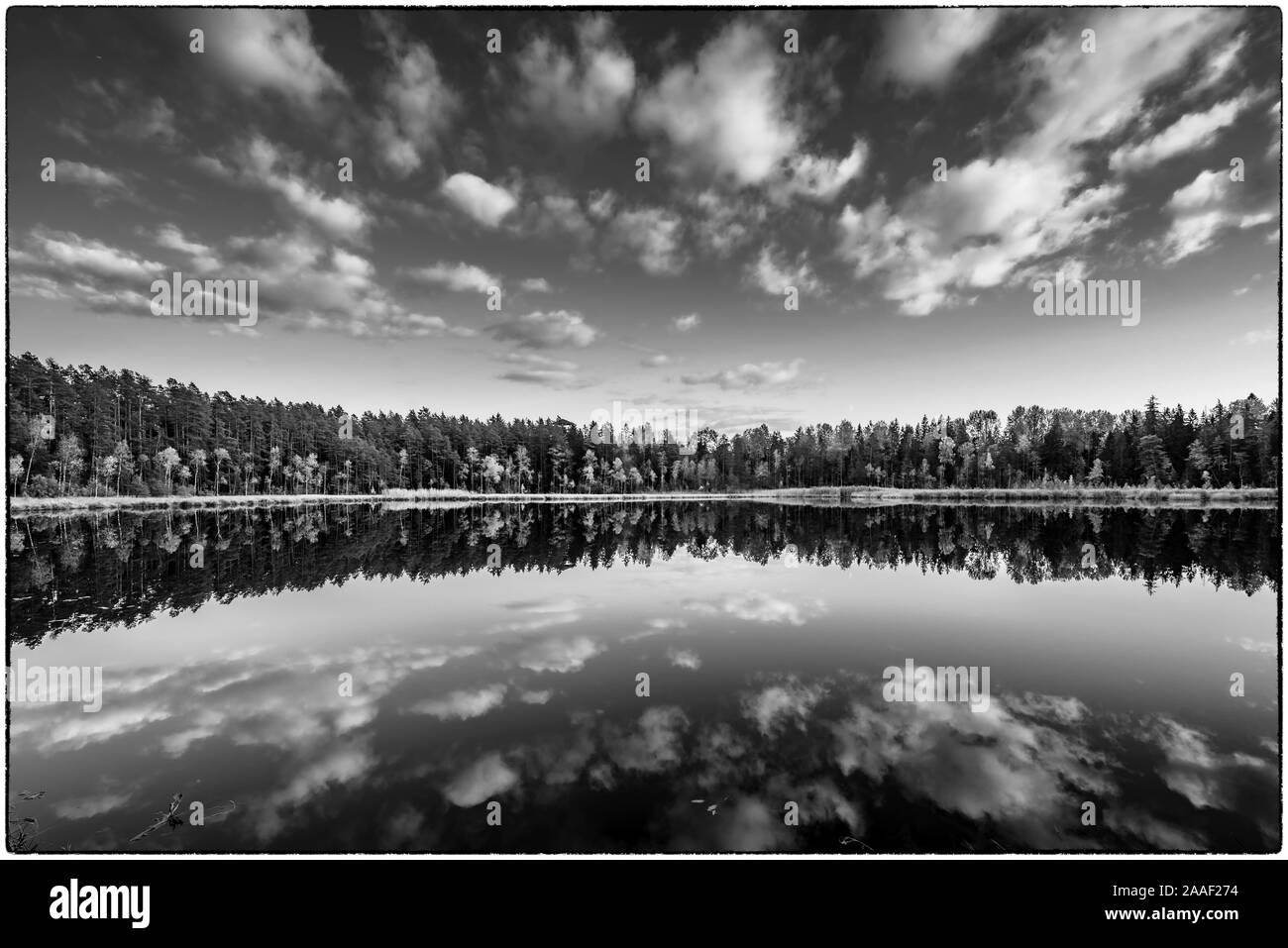 Blick auf Kingari See. Schwarz und Weiß. Lettische Natur. Schöne Landschaft. Eingerahmt. Stockfoto