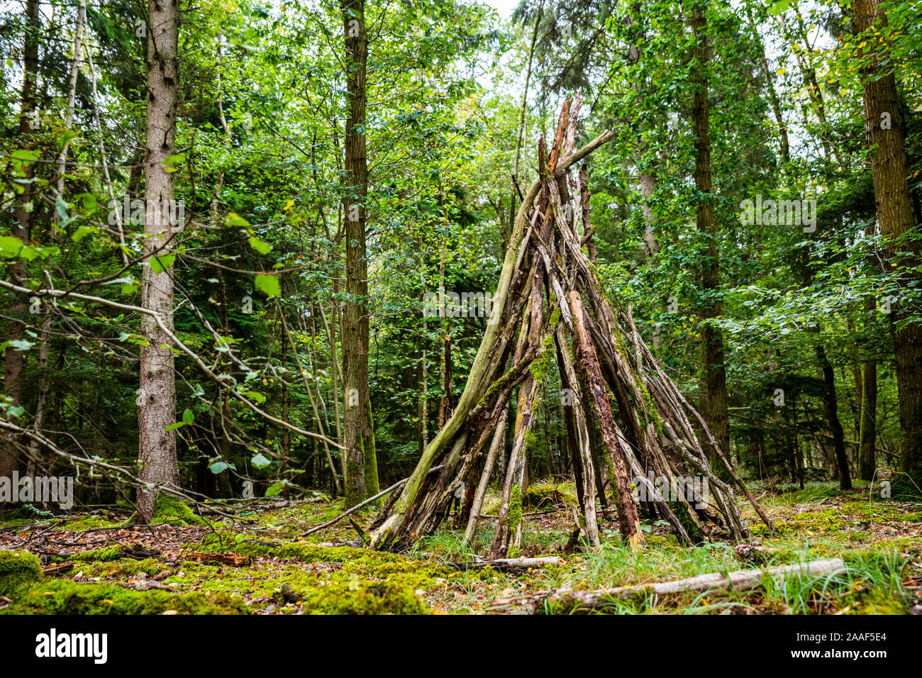 Bush craft/Überleben Unterschlupf: Primitive Bau von Unterkünften in einem wilden Wald Umwelt. Ein grundlegender Schutz im Notfall. Lustige Aktivität. Stockfoto