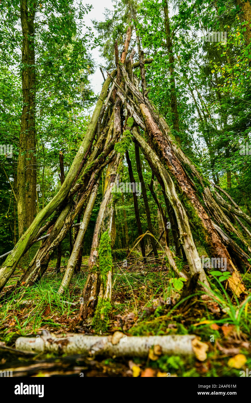 Bush craft/Überleben Unterschlupf: Primitive Bau von Unterkünften in einem wilden Wald Umwelt. Ein grundlegender Schutz im Notfall. Lustige Aktivität. Stockfoto