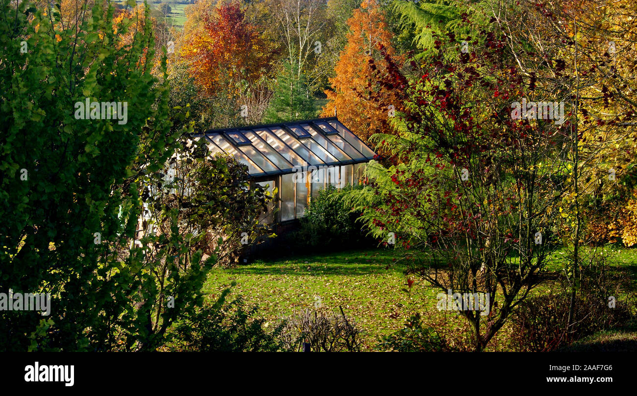 Garten Gewächshaus im Herbst Stockfoto