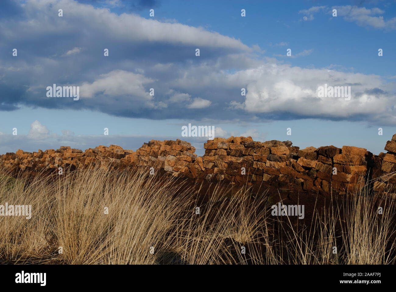 Torfabbau im Goldenstedter Moor Stockfoto