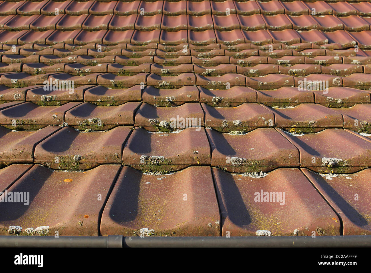 Ansicht von unten nach Dachziegel mit Moos und Flechten mit Fokus auf den Vordergrund Stockfoto