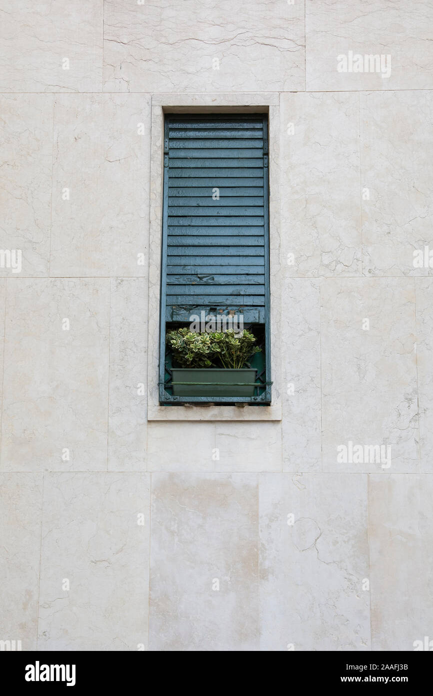 Vertikale Rahmen einer Wand mit einem alten schmalen Fenster, mit grünen Fensterläden und einem Blumentopf. Venedig, Italien Stockfoto