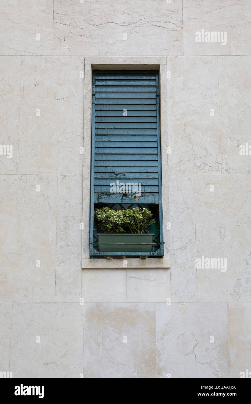 Vertikale Rahmen einer Wand mit einem alten schmalen Fenster, mit grünen Fensterläden und einem Blumentopf. Venedig, Italien Stockfoto