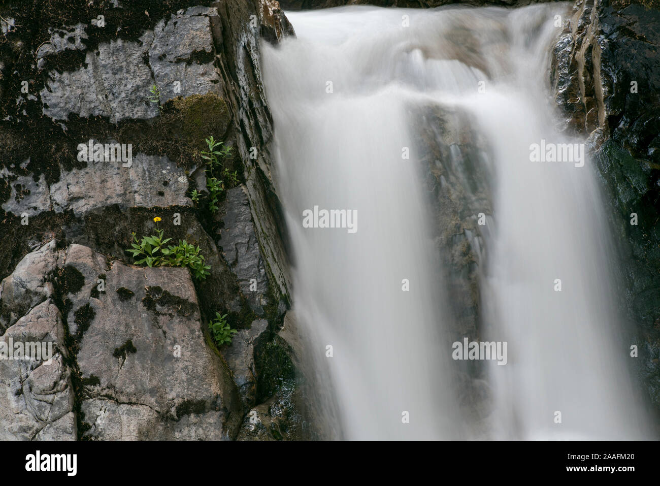 Nahaufnahme von Mais Creek Falls in Creston Valley, British Columbia, Kanada Stockfoto