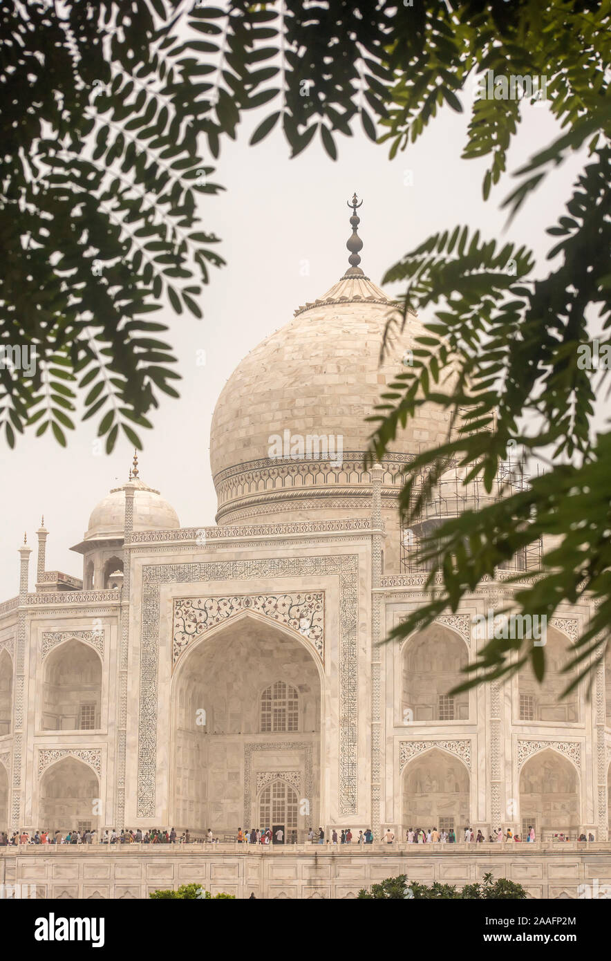 Taj Mahal, Agra, Uttar Pradesh, Indien Stockfoto