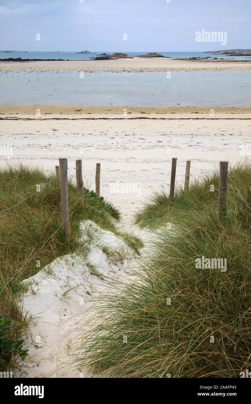 Dünen Sainte-Marguerite, Plouguerneau, Landeda, Finistère, Bretagne, Frankreich, Europa. Foto V.D. Stockfoto