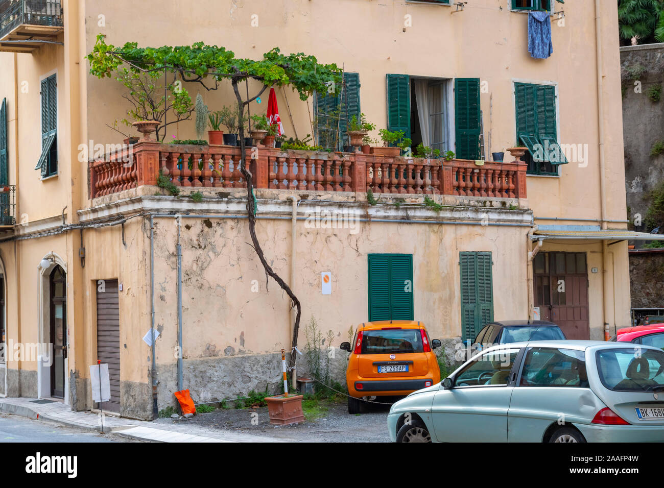 Ein hohes, dünnes Baum wächst und in den ersten Stock einer Wohnung erreicht in der Stadt Ventimiglia, Italien Stockfoto