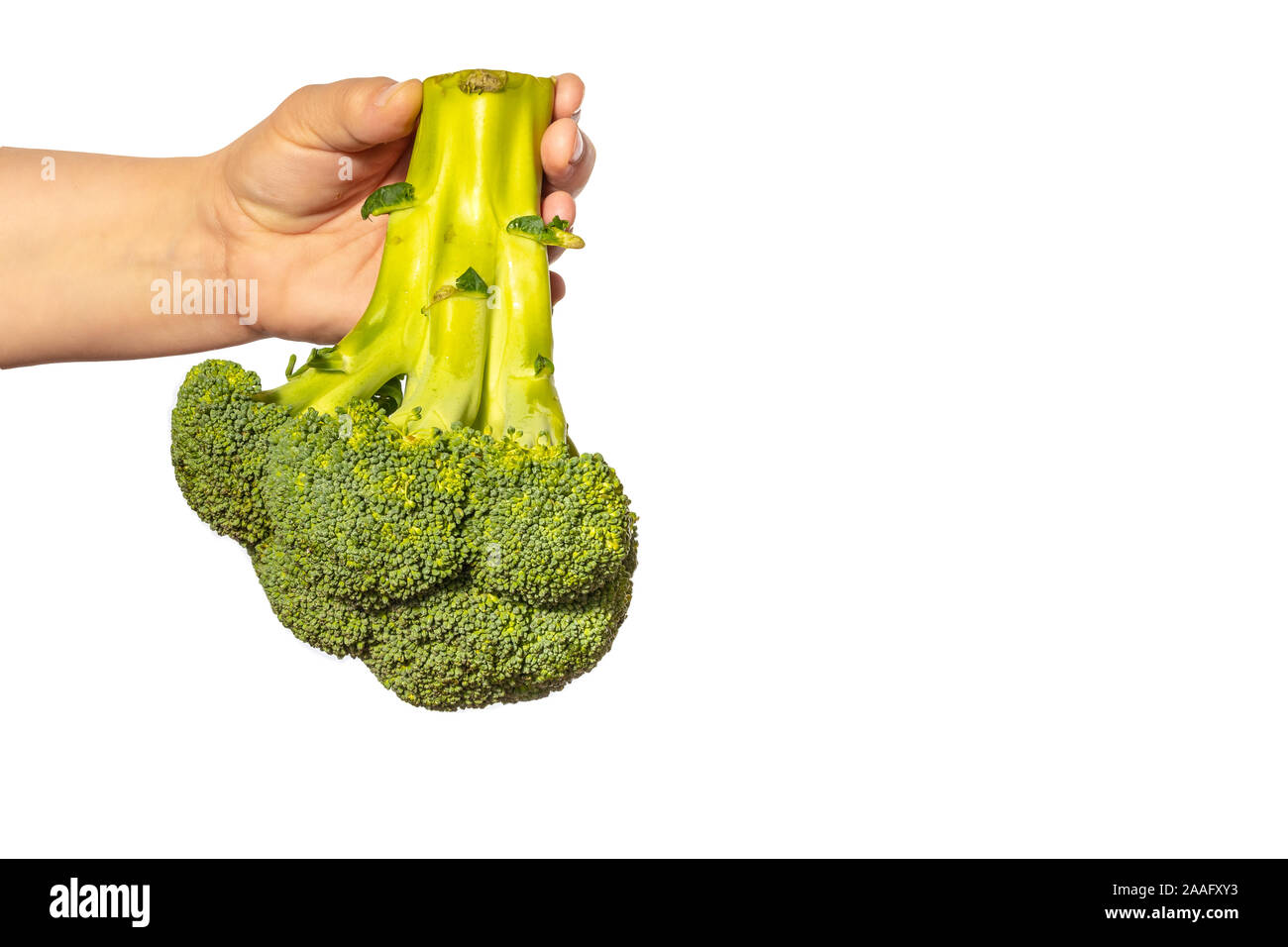 Hand mit Brokkoli auf einem weißen Hintergrund. Gesundes Essen. Gemüse und Vegetarier. Vegane Gerichte. Vitamine im Gemüse. Stockfoto