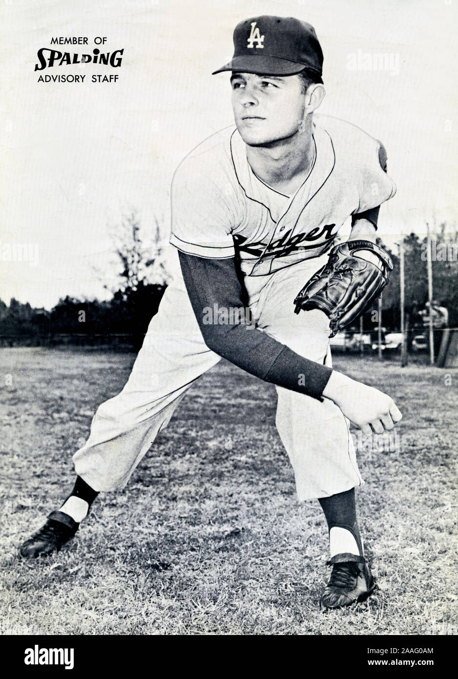 Vintage schwarz-weiß Foto von Baseball star Los Angeles Schwindlerkrug Don Drysdale indossieren Spalding Sportartikel circa 1960. Stockfoto